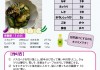 夏野菜のさっぱり和え_page-0001