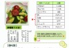 アボカドと夏野菜のマリネ_page-0001